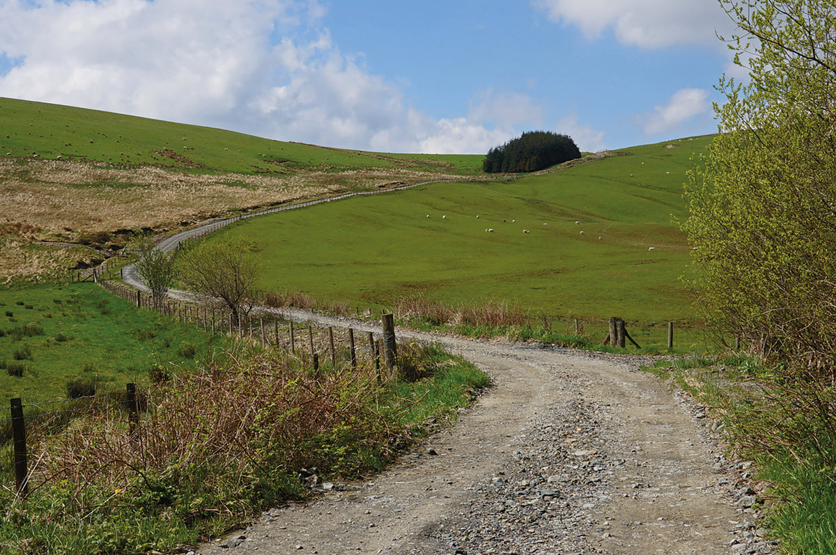Walking Glyndwr's Way - Route Photos - A track runs down from Upper Esgair Hill to a tiny settlement called Bwlch-y-sarnau (Day 3)