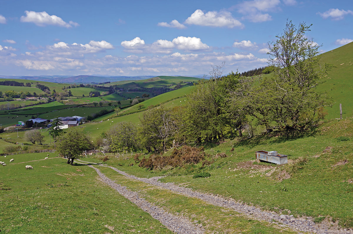 Walking Glyndwr's Way - Route Photos - A track descends from the slopes of Pegwn Bach after a fine traverse across hillsides (Day 3)