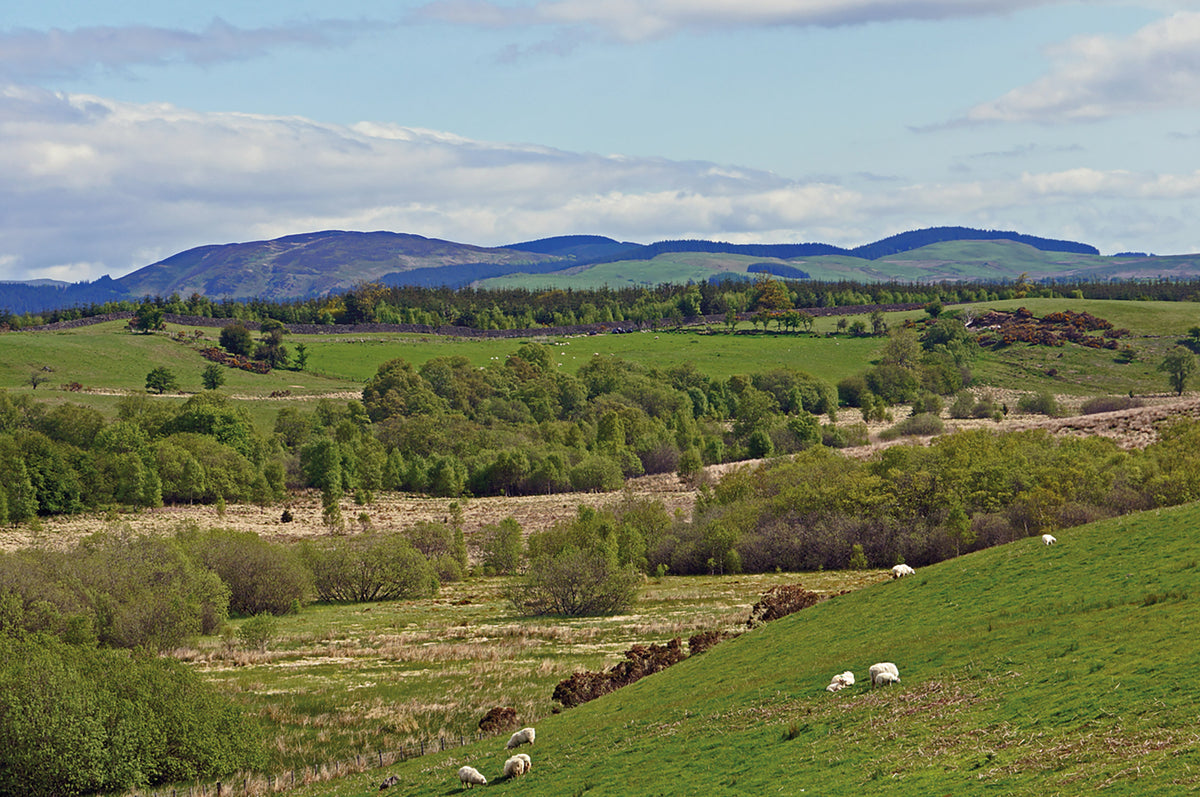 Walking Glyndwr's Way - Route Photos - The view from Dyfnant Forest at Pren Croes (Day 7)
