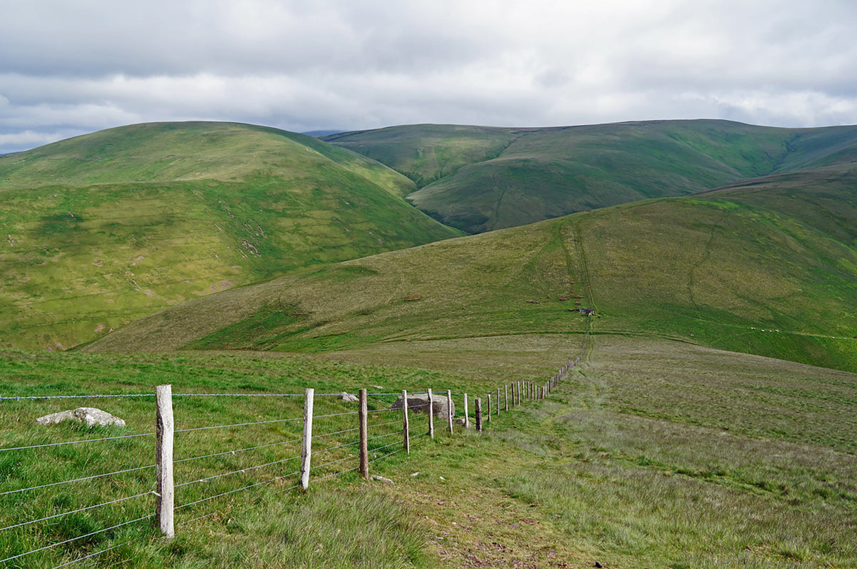 Walking the Pennine Way - Route Photos - The Pennine Way main route stays high to cross White Law