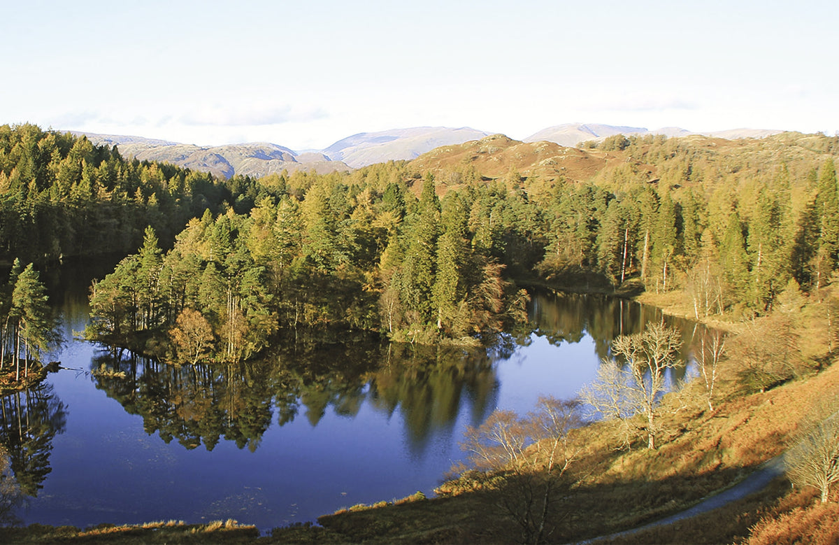 Walking The Cumbria Way - Route Photos - Tarn Hows (Stage 2)