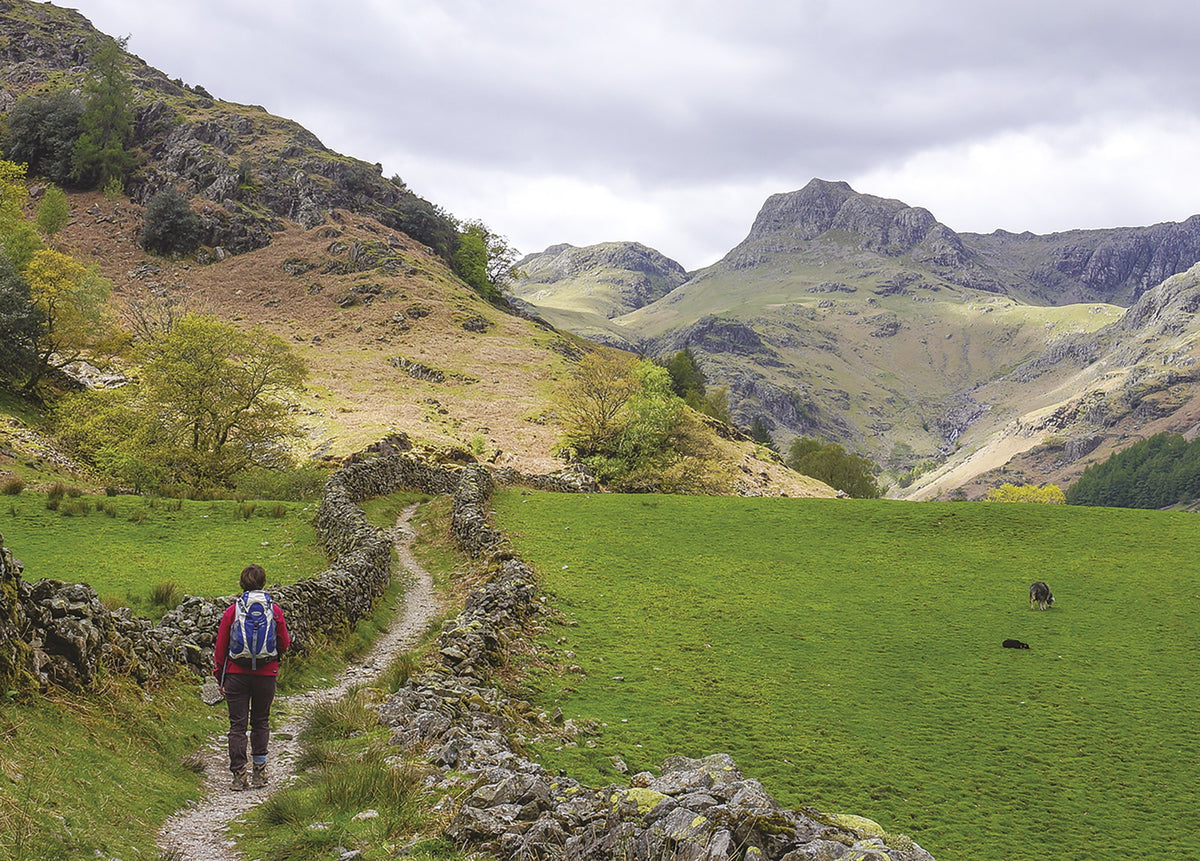 Walking The Cumbria Way - Route Photos - The Langdale Pikes from the path near Oak Howe (Stage 2)