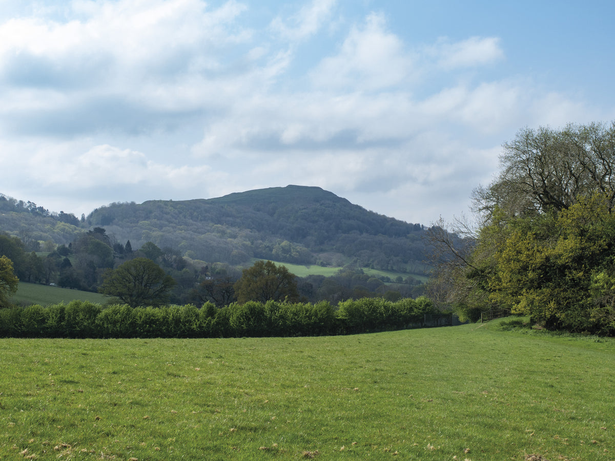 Short Walks on the Malvern Hills - Route Photos - The ridged outline of British Camp Iron Age hill fort
