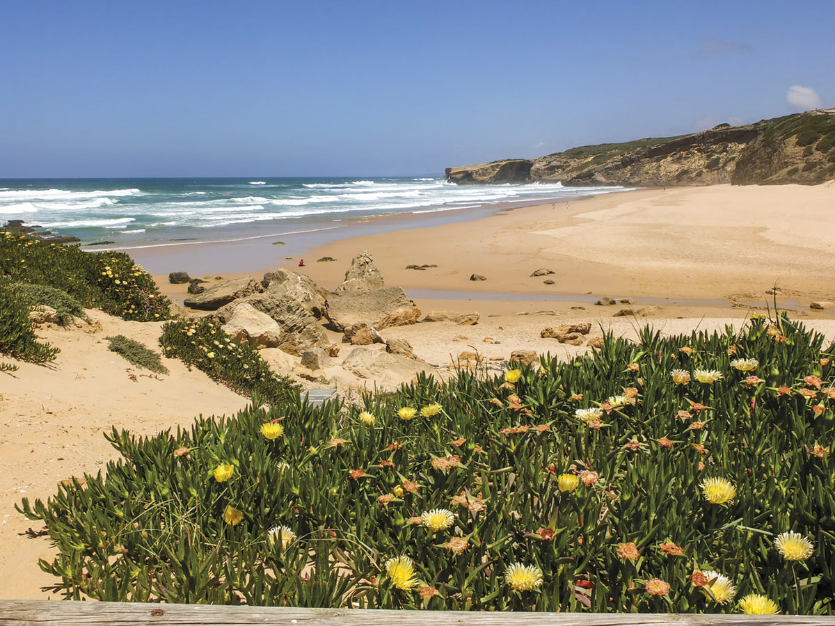 Portugal's Rota Vicentina - Route Photos - Lovely Praia de Monte Clérigo on the Ponta da Atalaia variant (Stage 9)