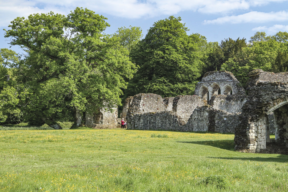 Short Walks in the Surrey Hills - Route Photos - The ruins of Waverley Abbey