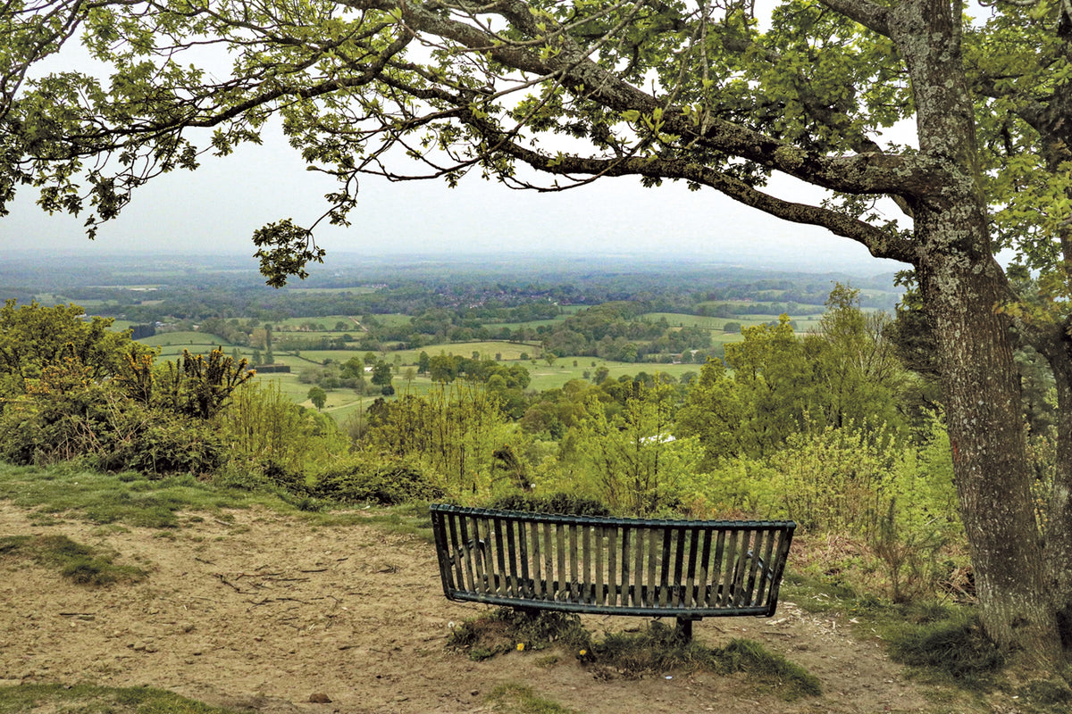 Short Walks in the Surrey Hills - Route Photos - Extensive views from Holmbury Hill