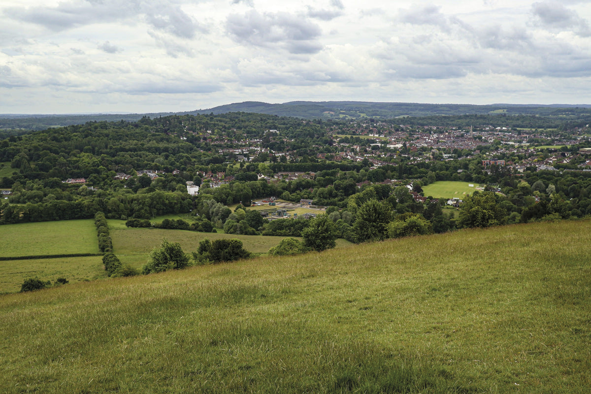 Short Walks in the Surrey Hills - Route Photos - Views of Dorking from the slopes of Box Hill