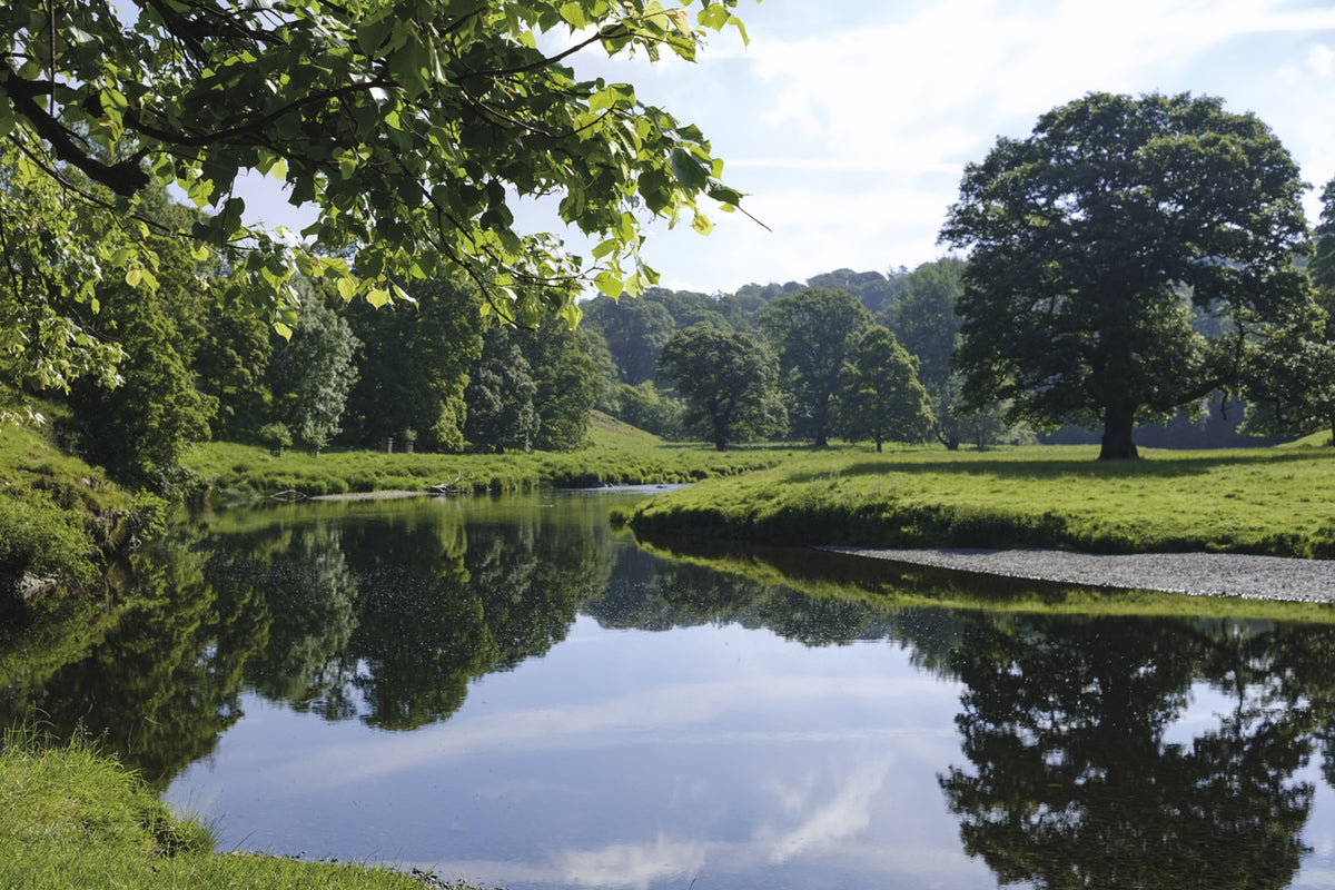 Short Walks in Arnside and Silverdale - Route Photos - The River Kent flows peacefully through Levens Park (Walk 15)