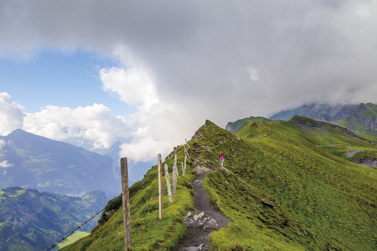 Trekking the Swiss Via Alpina - Route Photos - Approaching the Balmeregghorn, the highest part of the Erzegg ridge. This shows the steepest part; the exposure is modest