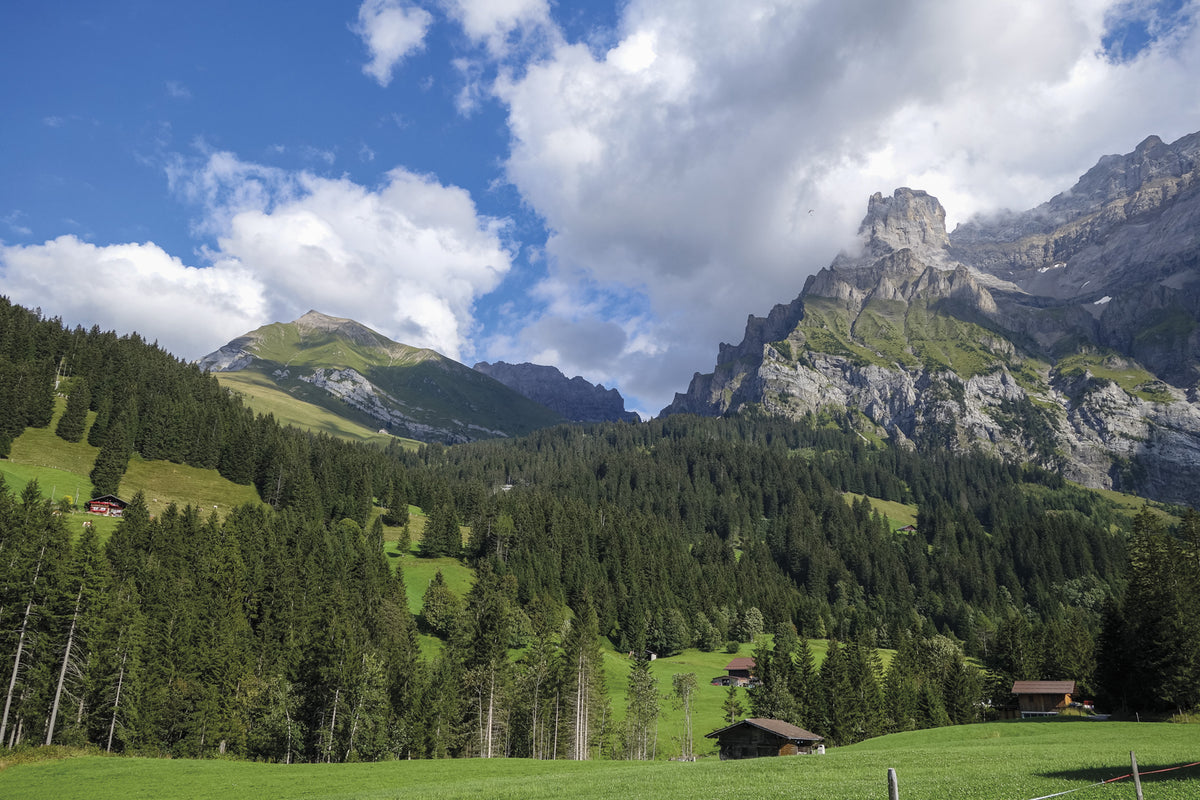 Trekking the Swiss Via Alpina - Route Photos - Gentle hillsides on the descent into Adelboden