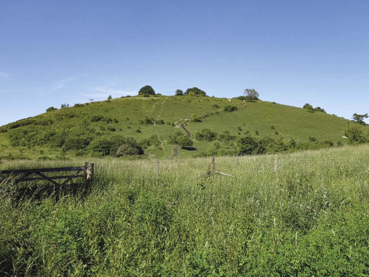 Short Walks Winchester - Route Photos - St Catherine’s Hill