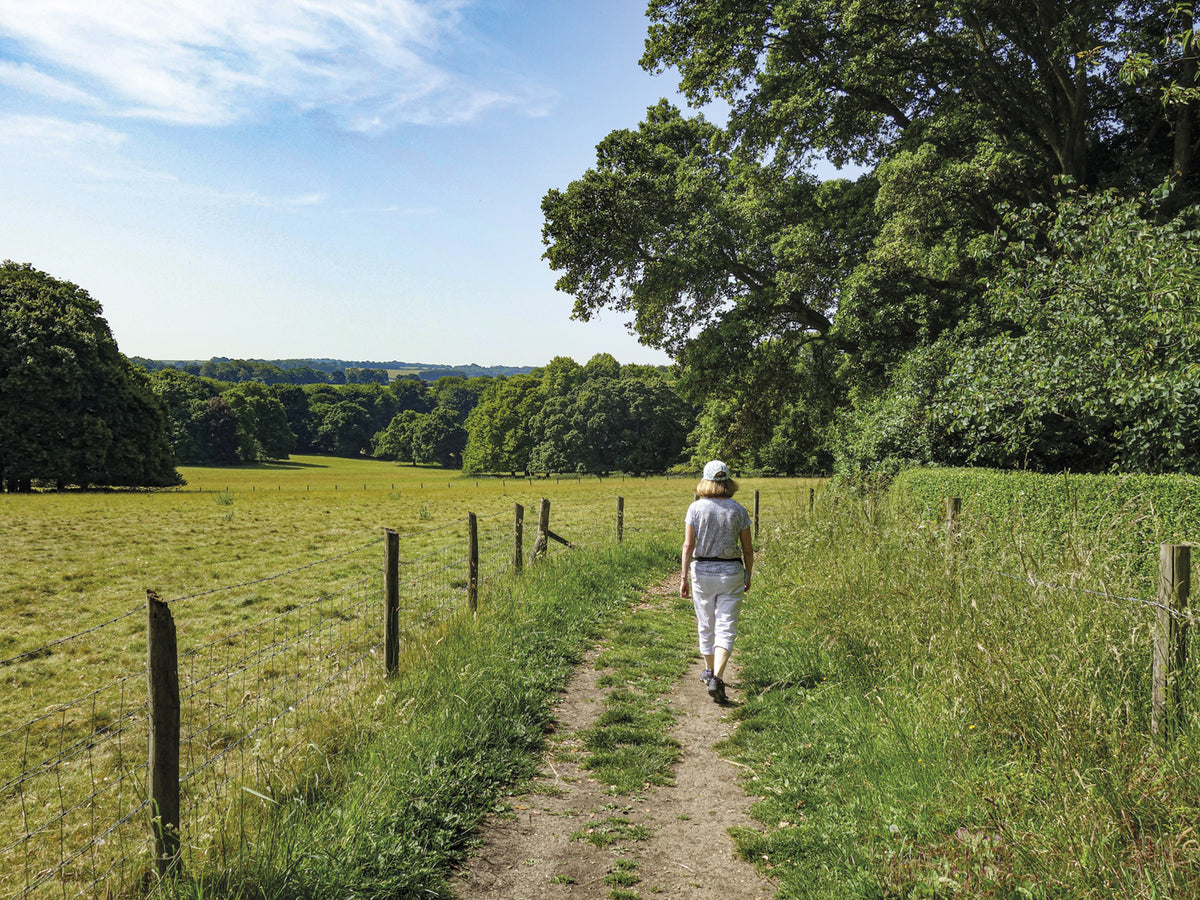 Short Walks Winchester - Route Photos - South Downs at Hinton Ampner