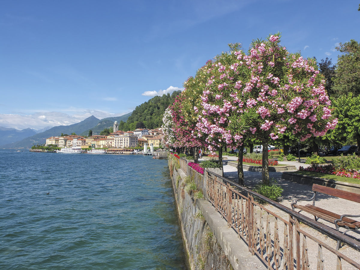 Walking Lake Como and Maggiore - Route Photos - The glorious waterfront at Bellagio on Lago di Como