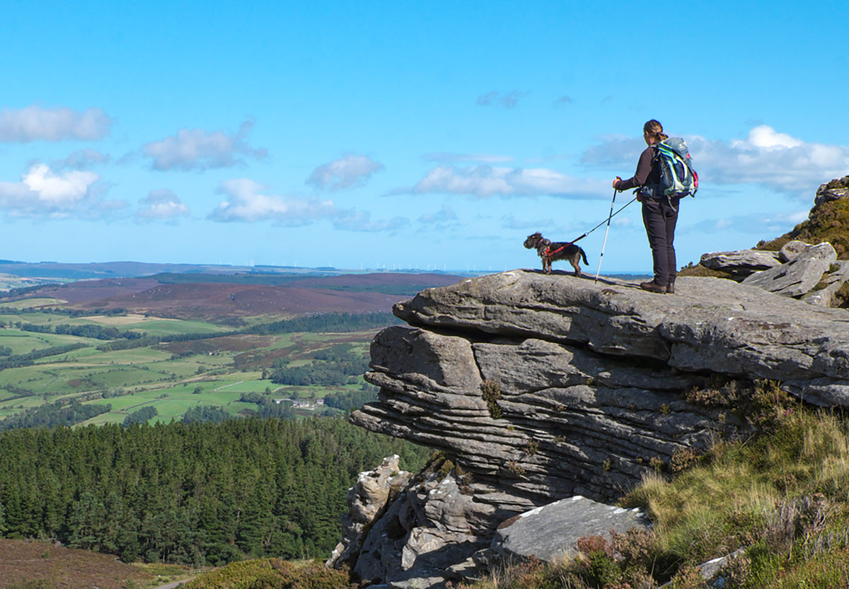 Walking in Northumberland - Route Photos - Enjoying the views from the Simonside Hills