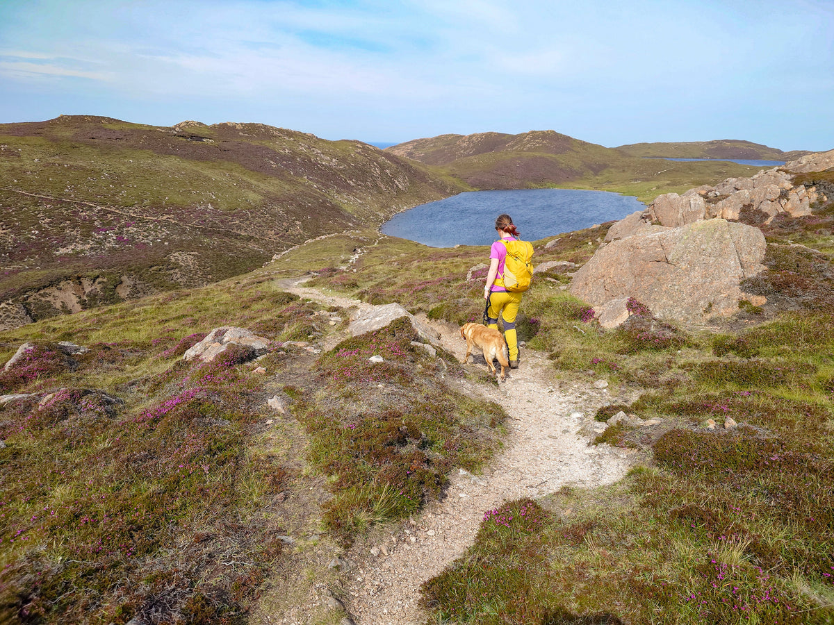 Walking on the Orkney and Shetland Isles - Route Photos - Heading down to Gilsa Water (Walk 66)