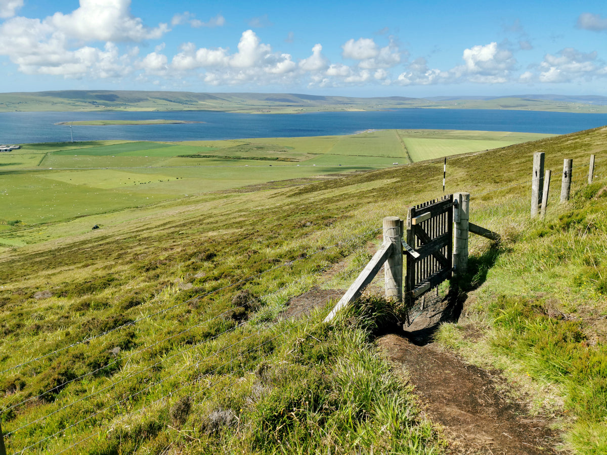Walking on the Orkney and Shetland Isles - Route Photos - The path leading down to the Wideford Hill Chambered Cairn (Walk 3)