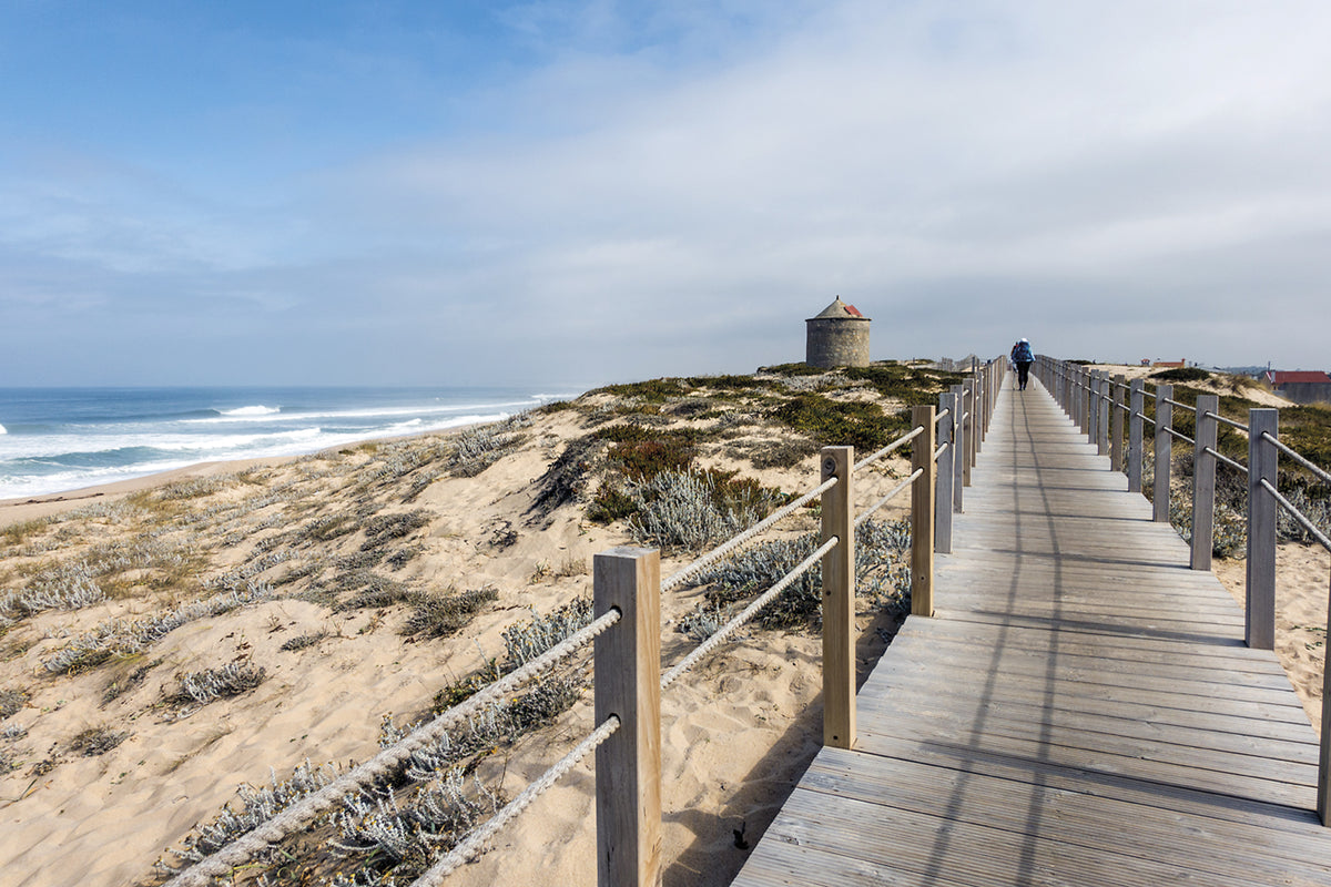 The Camino Portugues - Route Photos - Boardwalk, pilgrims and an old windmill near Aguçadoura (CC Stage 2)