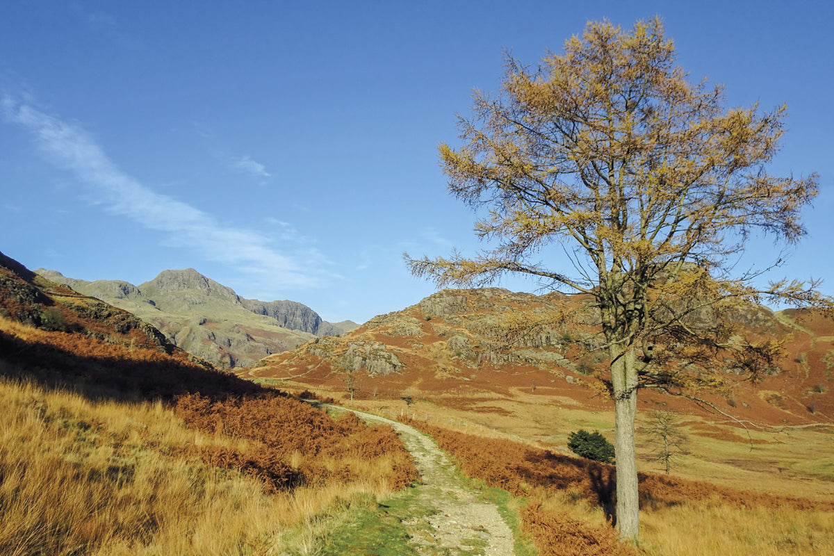 15 Short Walks Lake District - Coniston and Langdale