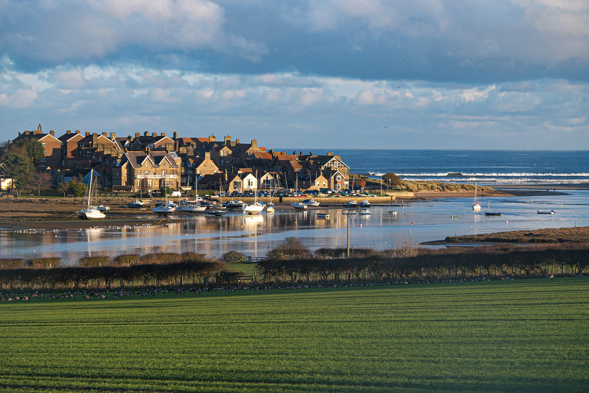 Short Walks in Northumberland: Wooler, Rothbury, Alnwick and the coast - Route Photos - Alnmouth seen from off route (Walk 6)