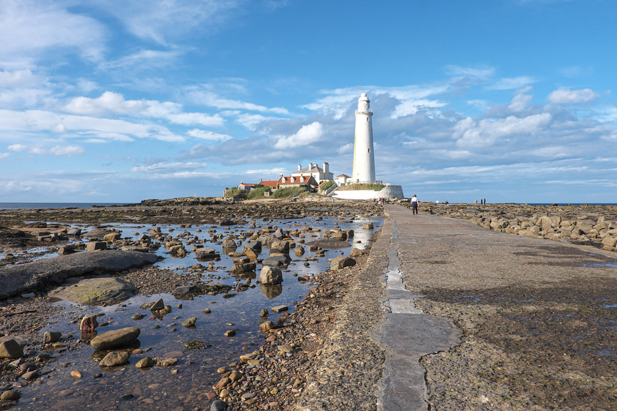 Short Walks in Northumberland: Wooler, Rothbury, Alnwick and the coast - Route Photos - On the causeway to St Mary's Island (Walk 1)