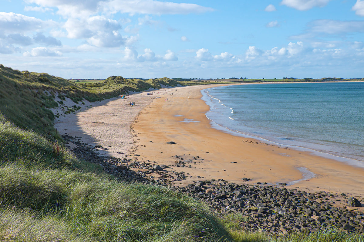 Short Walks in Northumberland: Wooler, Rothbury, Alnwick and the coast - Route Photos - Looking north into Beadnell Bay (Walk 10)