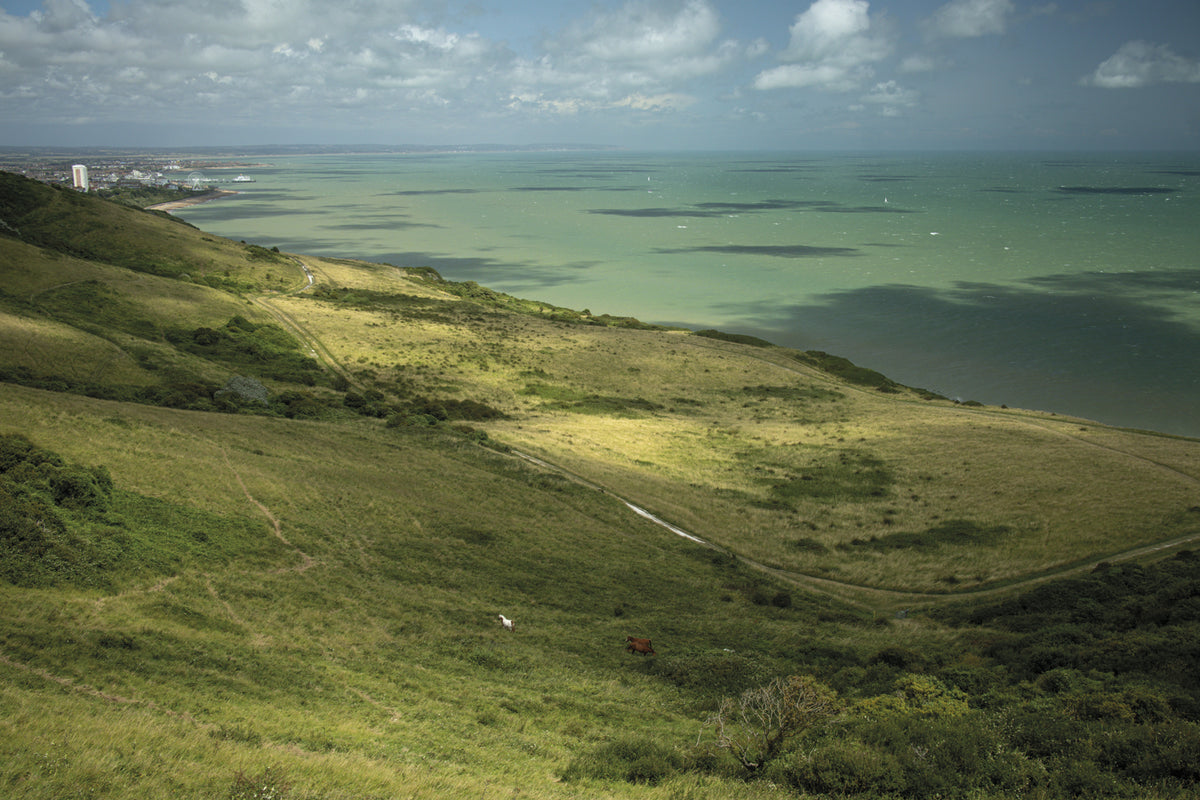 Short Walks in the South Downs: Brighton, Eastbourne and Arundel - Route Photos - Looking back down as the path ascends (Walk 15)