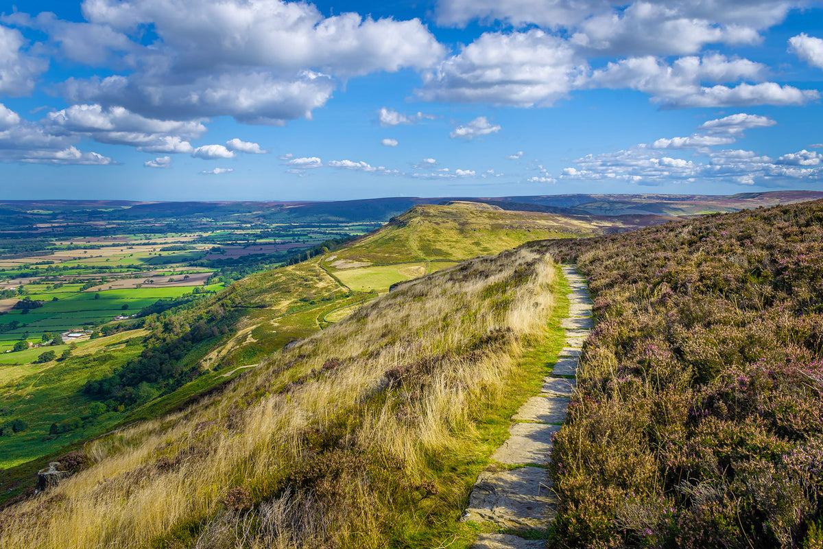 Walking the Coast to Coast Path - Route Photos - Cold Moor viewed from Cringle Moor (photo: Bernie McLinden)
