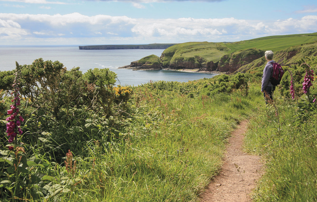 Pembrokeshire Coast Path Map Booklet - Route Photos - Looking towards Greenala Point (Stage 2)