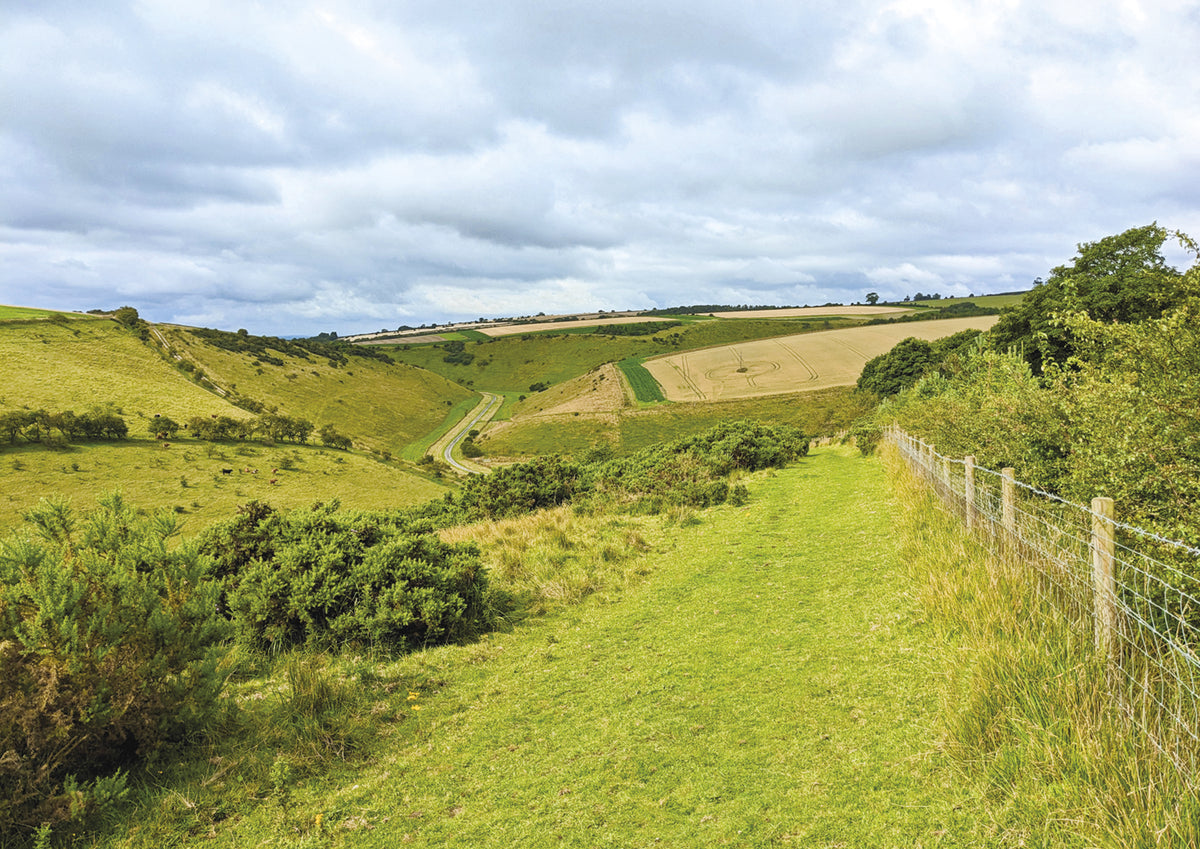 The Cleveland Way and the Yorkshire Wolds Way - Route Photos - A path climbs from Nettle Dale to Jessops Plantation (YWW Stage 4)