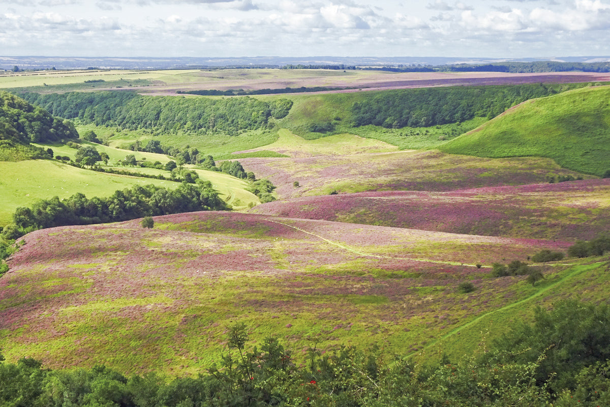 The Cleveland Way and the Yorkshire Wolds Way - Route Photos - Looking into the Hole of Horcum from Saltergate (TH Stage 1)