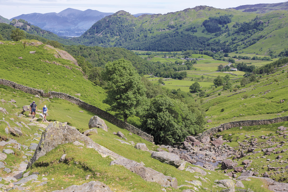 Lake District: High Level and Fell Walks - Route Photos - Looking back down into Borrowdale on the early part of the ascent (Walk 8)