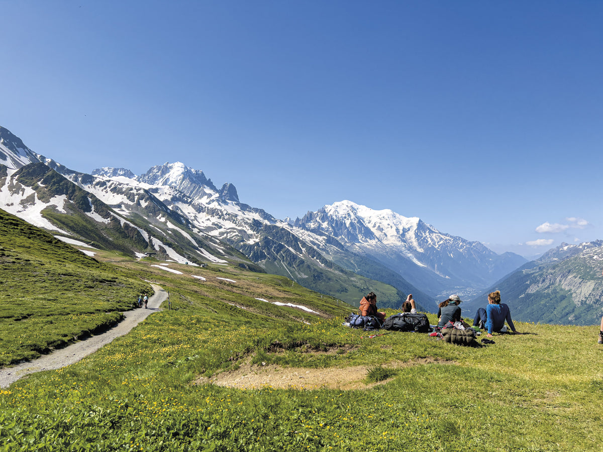 Trekking the Tour du Mont Blanc - Route Photos - Mont Blanc and the Aiguille Verte dominate the view down the Chamonix valley (Stage 9)