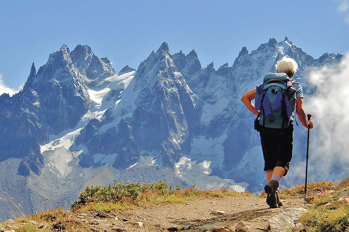 Trekking the Tour du Mont Blanc - Route Photos - The Chamonix Aiguilles, seen from the trail to Planpraz on Stage 10 (Photo: Kev Reynolds)
