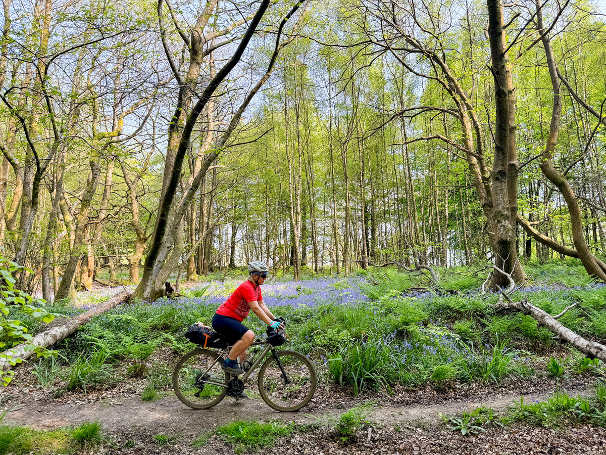 Bikepacking - South East Gravel - Route Photos - For bluebells near Leith Hill, come in May