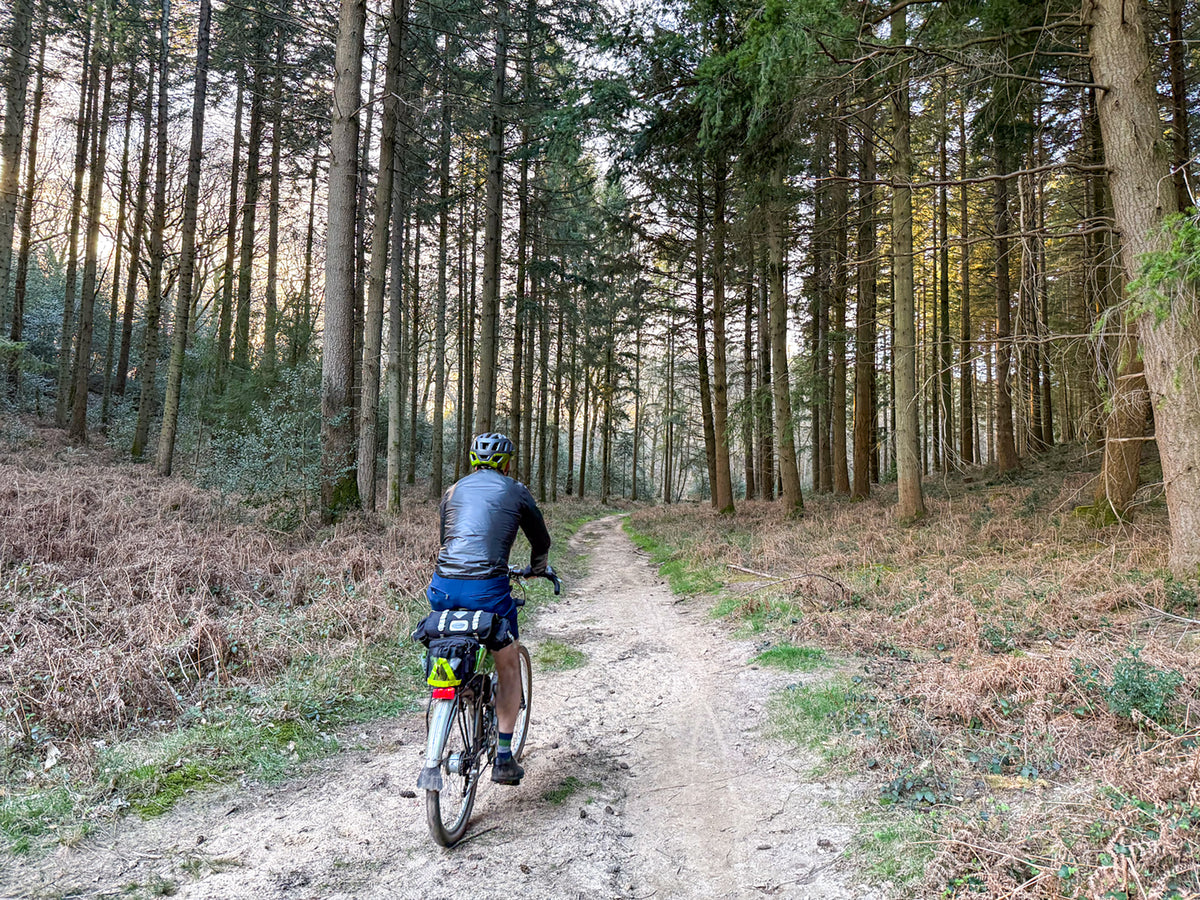 Bikepacking King Alfred's Way - Route Photos - A magical atmosphere in the early evening on Durford Heath