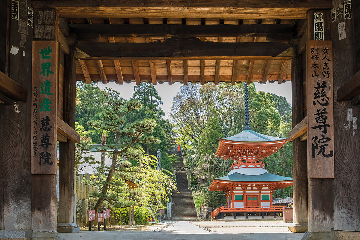 Japan's Kumano Kodo Pilgrimage - Route Photos - Jison-in Temple, Kudoyama (Choishimichi)