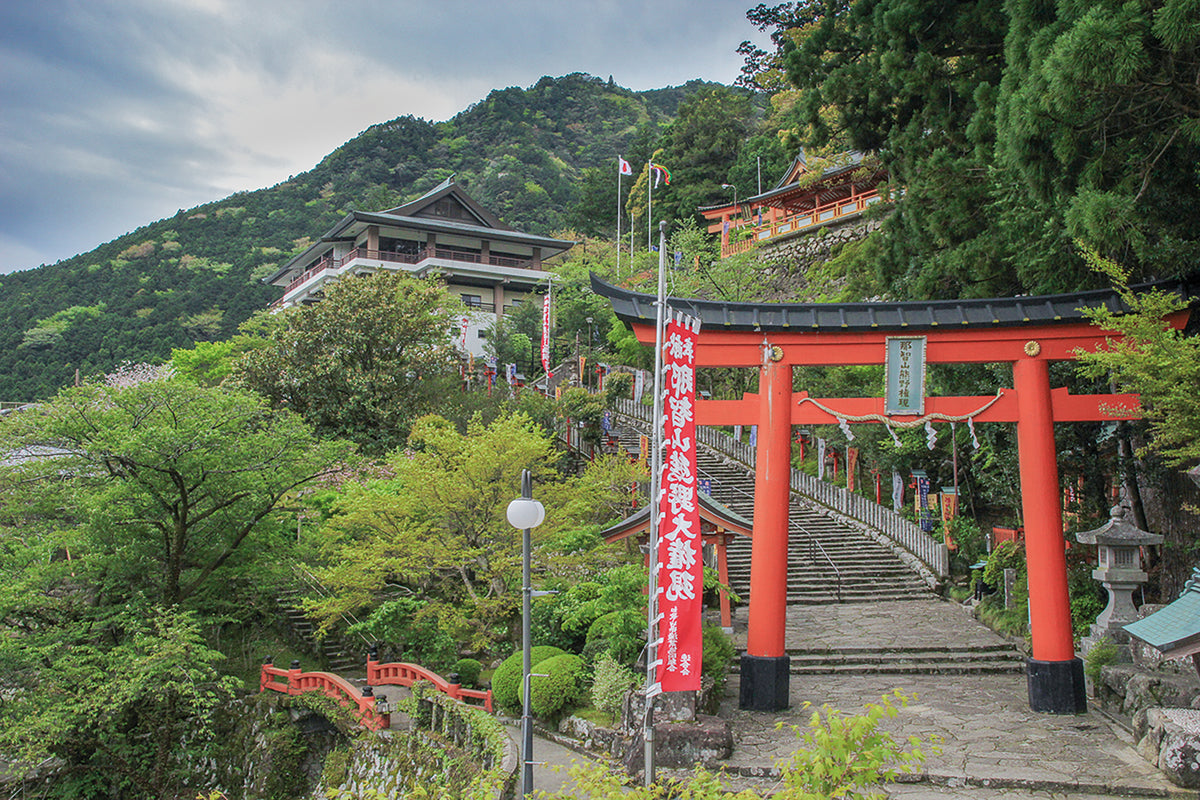 Japan's Kumano Kodo Pilgrimage - Route Photos - Torii gate and staircase leading to Kumano Nachi Taisha