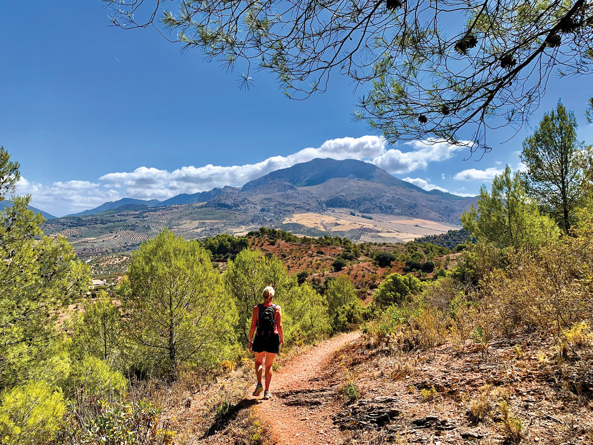 The Mountains of Ronda and Grazalema - Route Photos