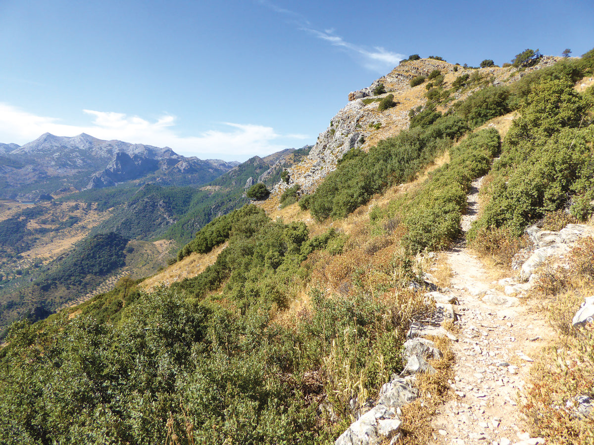The Mountains of Ronda and Grazalema - Route Photos - The final ascent to the summit of Coros (Walk 24)