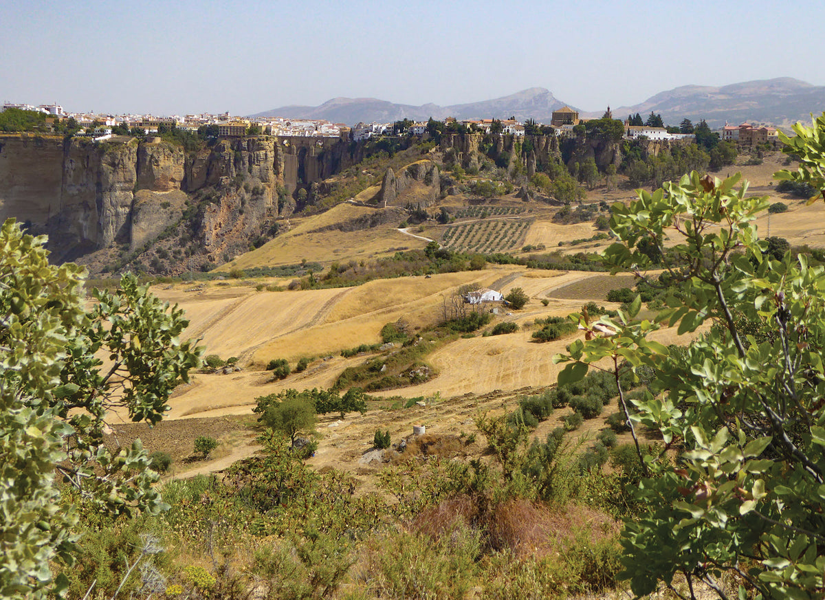 The Mountains of Ronda and Grazalema - Route Photos - Ronda seen from the ridge leading to the chapel of La Virgen de la Cabeza (Walk 7)