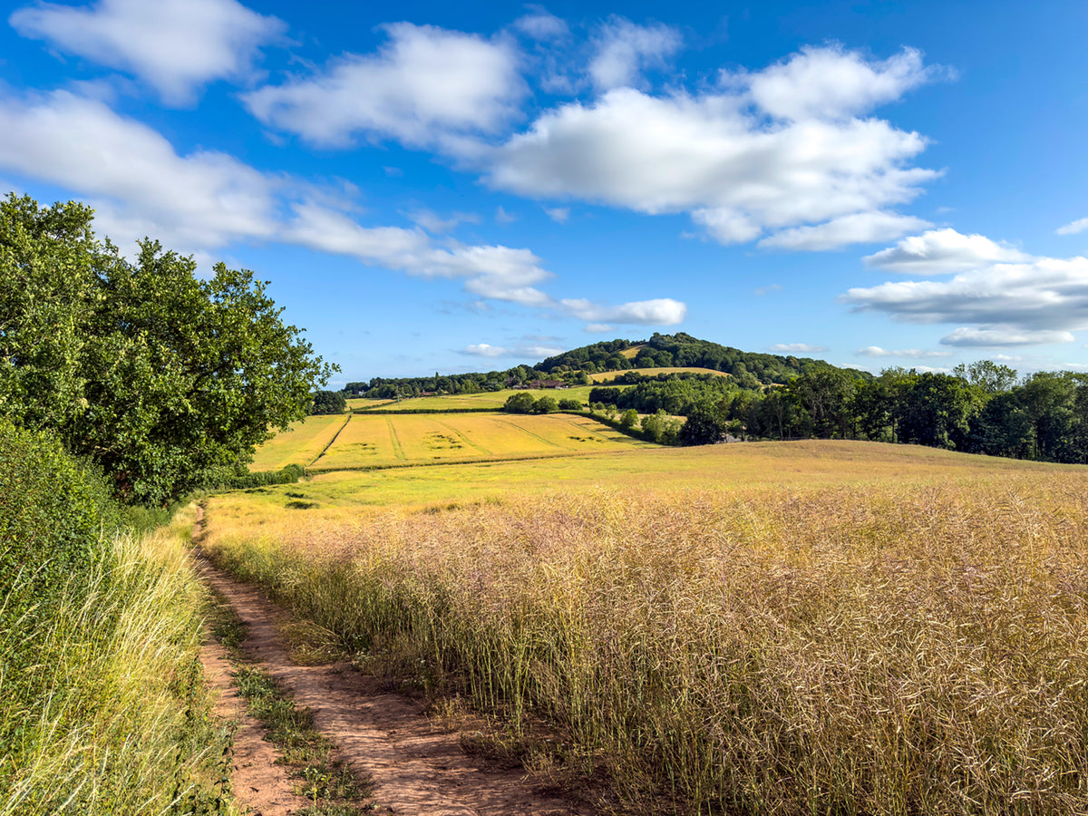 Walking in Worcestershire - Route Photos - The view to Berrow Hill on the final stretch of the walk