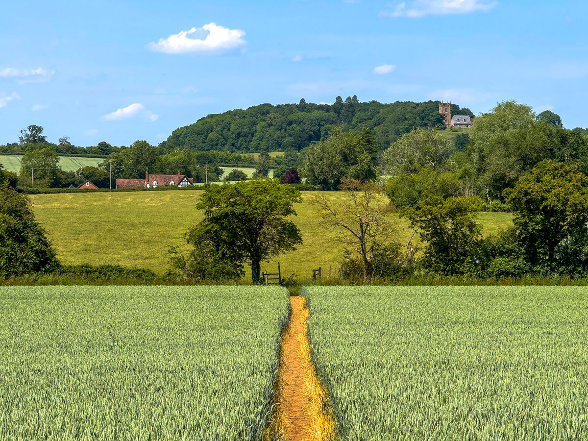 Walking in Worcestershire - Route Photos - Abberley Clock Tower from Abberley Hill