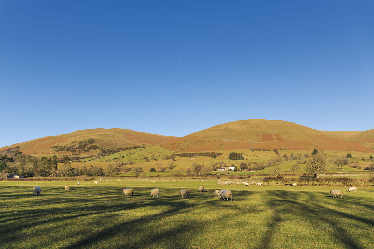 15 Short Walks in the Yorkshire Dales - Sedbergh, Kirkby Lonsdale and Ingleton - Route Photos - The Howgill Fells rise above Sedbergh, seen from the River Rawthey