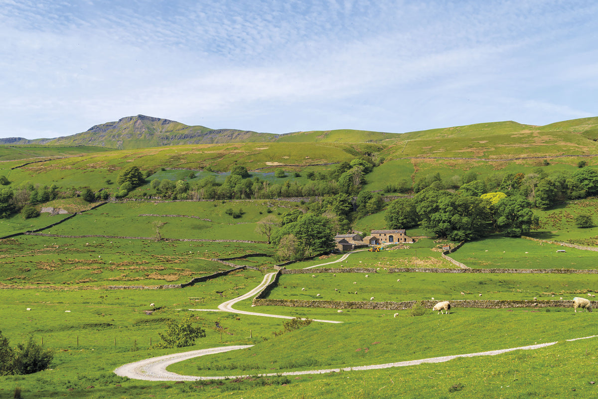 15 Short Walks in the Yorkshire Dales - Sedbergh, Kirkby Lonsdale and Ingleton - Route Photos - Looking ahead to Wild Boar Fell