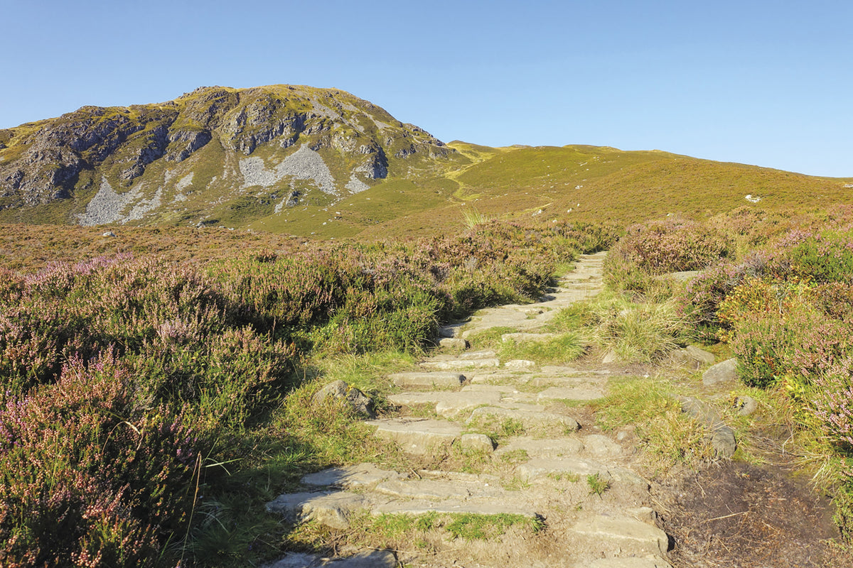 15 Short Walks in Perthshire North - Pitlochry, Aberfeldy and Dunkeld - Route Photos - The final ascent on stone steps and paths, surrounded by heather-clad slopes