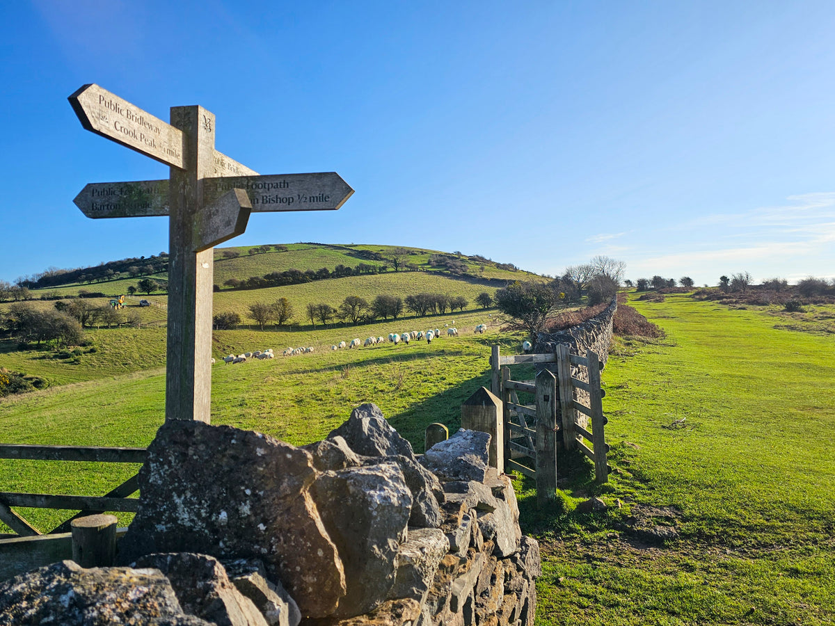 15 Short Walks Cheddar and the Mendips - Route Photos - The Mendip Hills are characterised by the dry stone walls