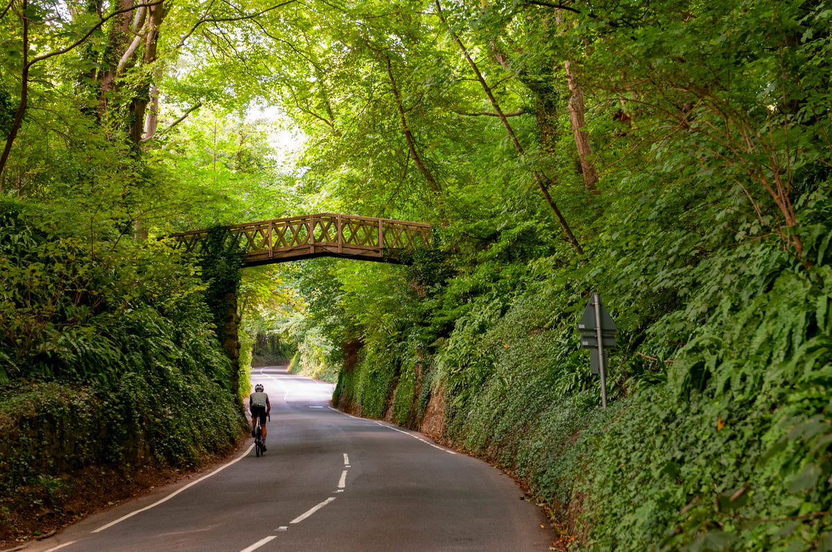 Walking on the Isle of Wight - Route Photos - Wooden bridge in Shorwell which is due to be replaced