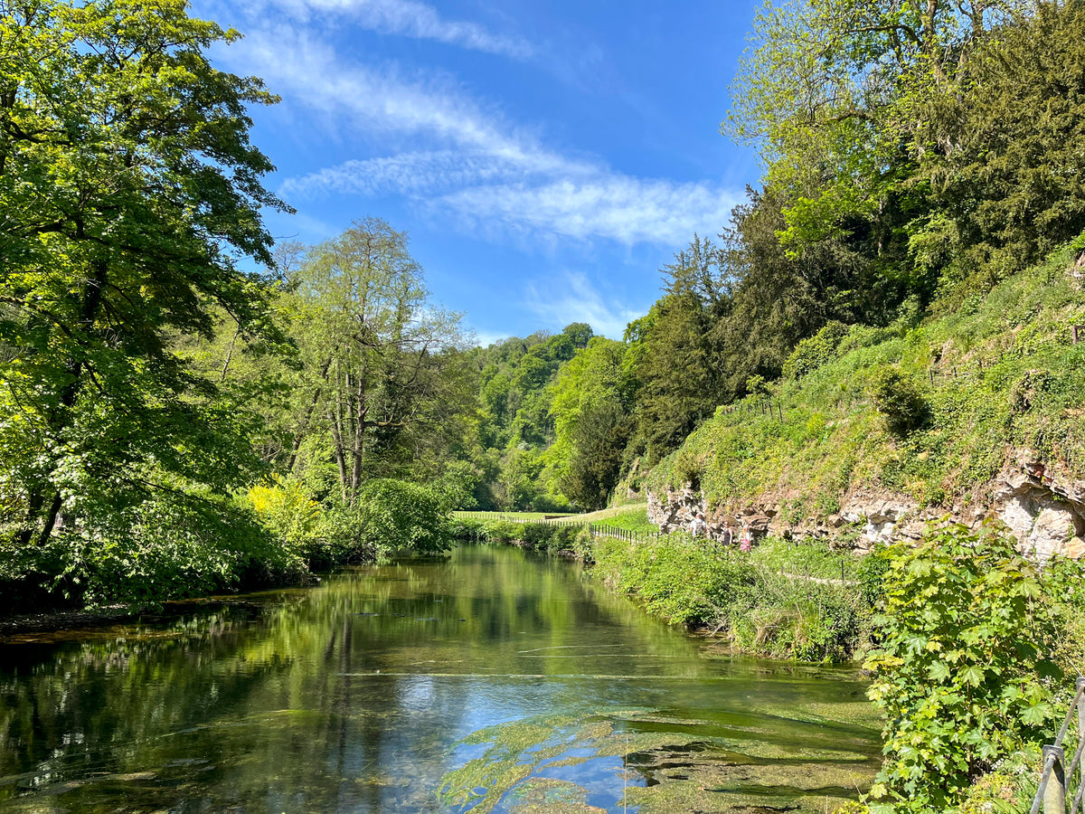 15 Short Walks in the Peak District - Buxton, Dove Dale and the South West Peak - Route Photos - The River Manifold in Ilam Park
