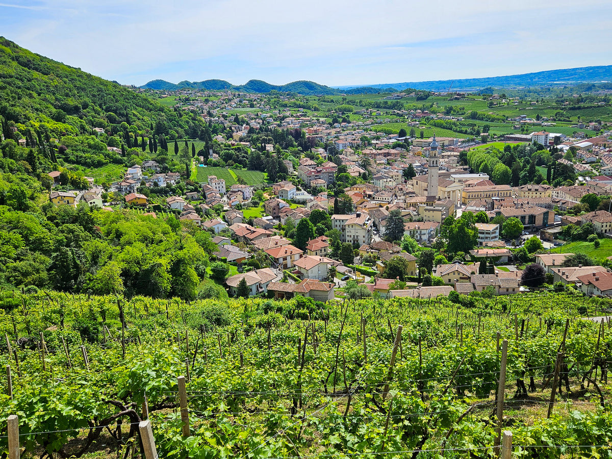 Walking in the Prosecco Hills - Route Photos