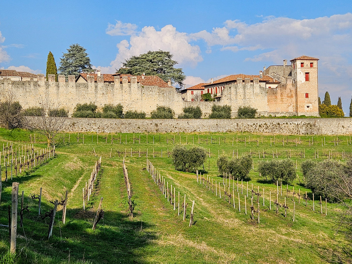 Walking in the Prosecco Hills - Route Photos